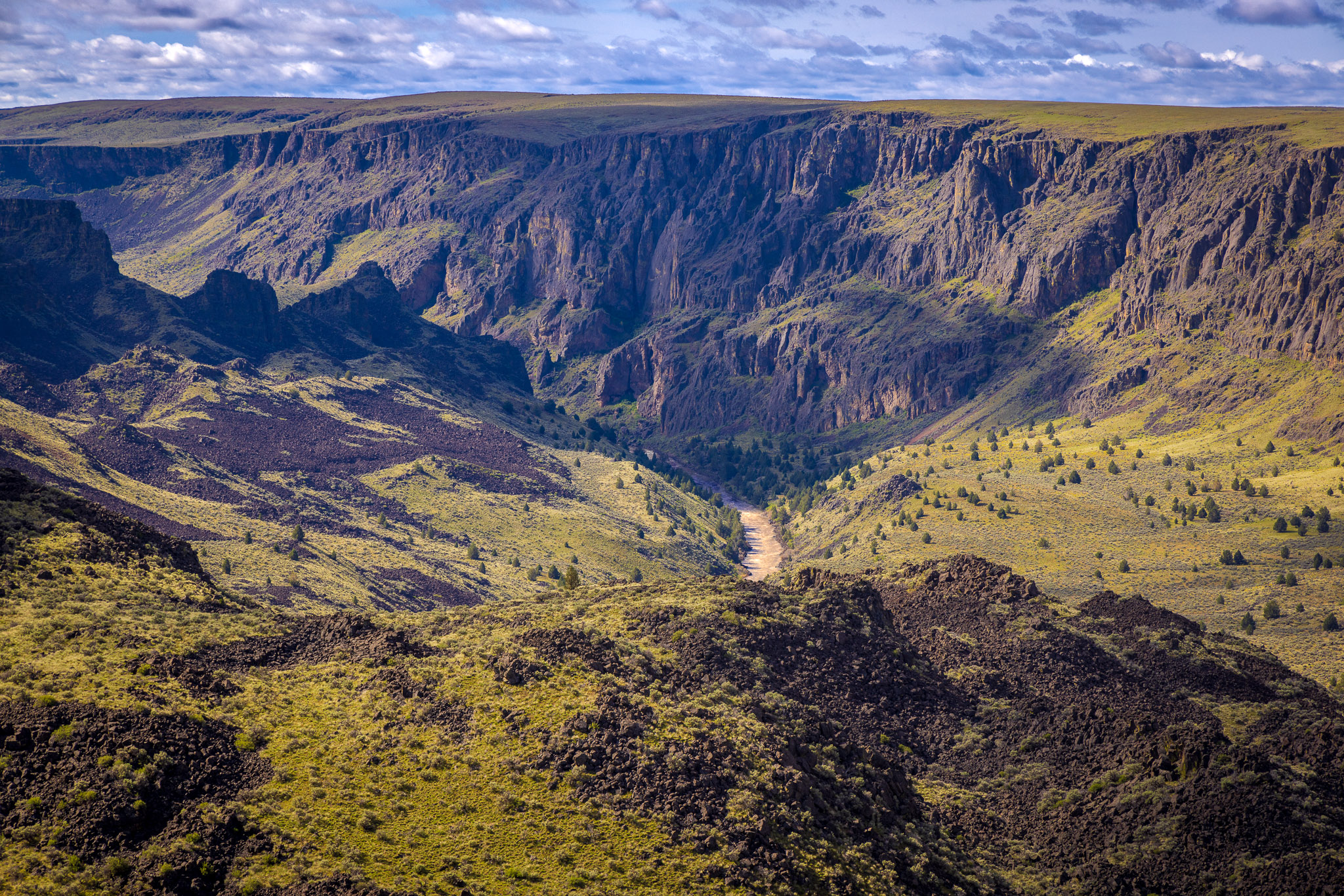 Upper Owyhee River