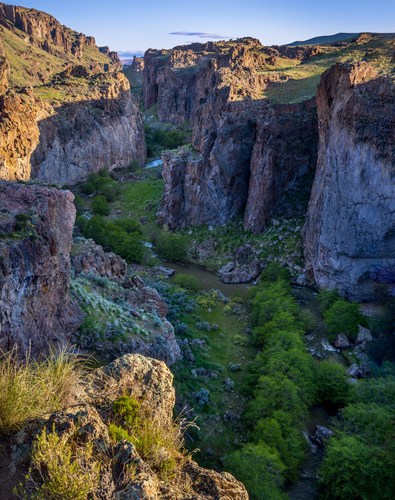 Owyhee's Succor Canyon