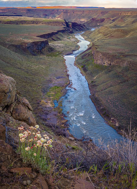 Lower Owyhee River