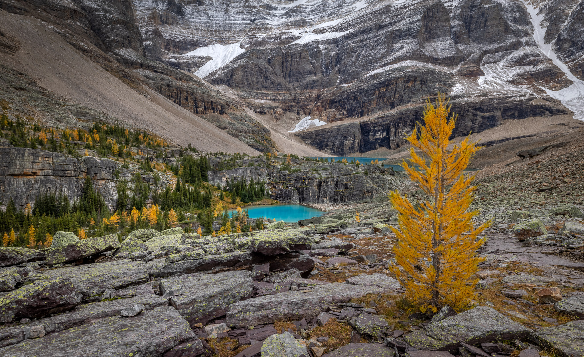 Looking down on Lefroy Lake & Oesa Basin from Yukness Ledges Alpine Route