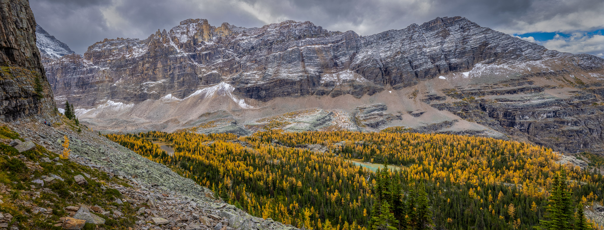 Opabin Plateau from Yukness Ledges Alpine Route