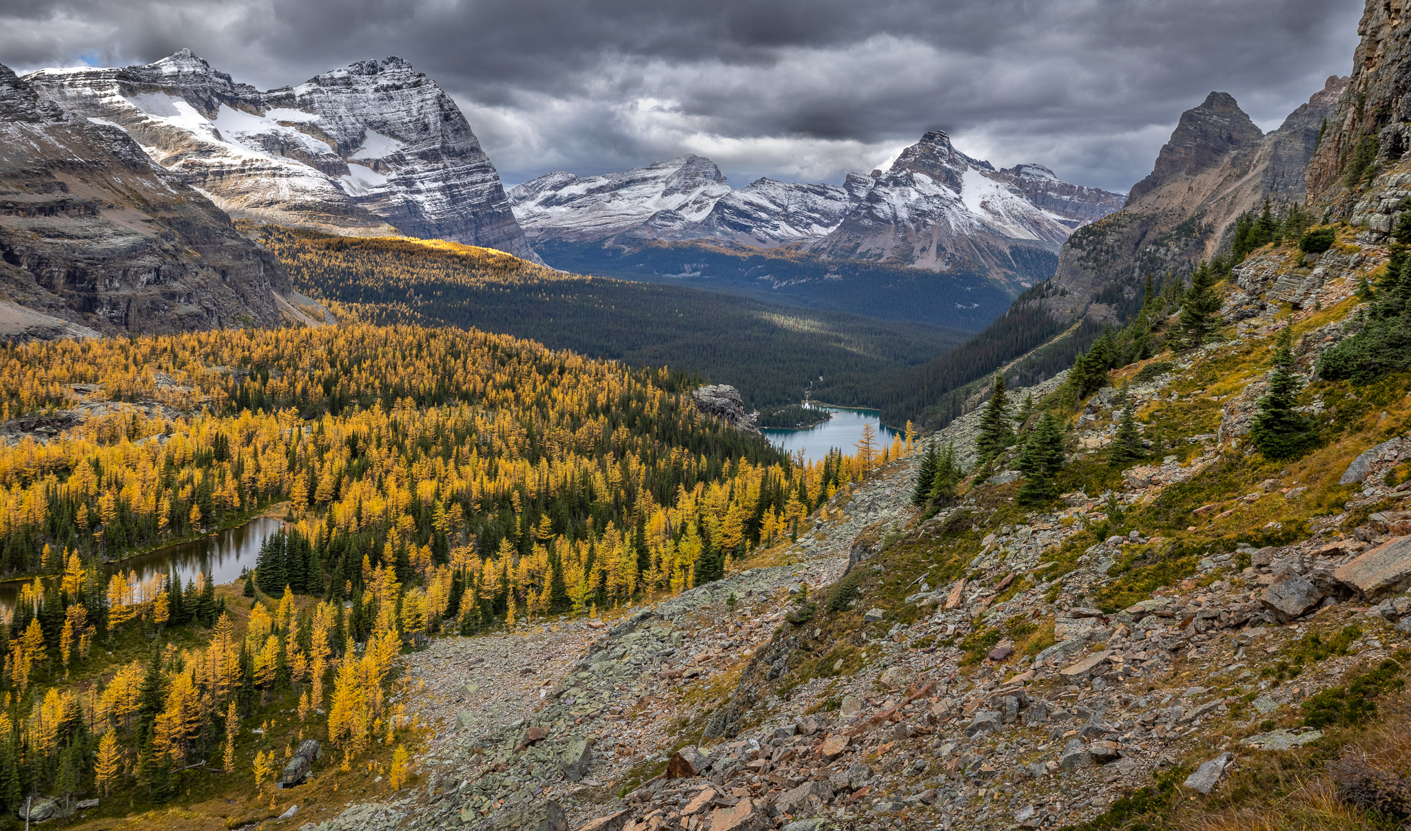 Opabin Plateau & Lake O'Hara from Yukness Ledges Alpine Route