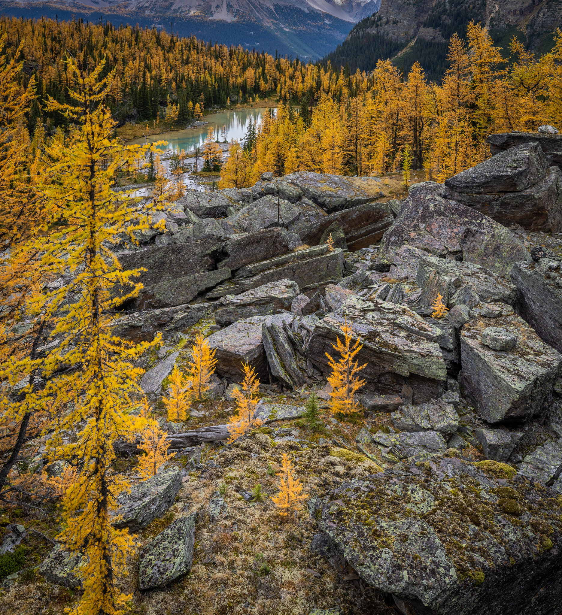 Viewpoint over Cascade Lakes, Opabin Plateau