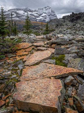 Meticulously constructed trails