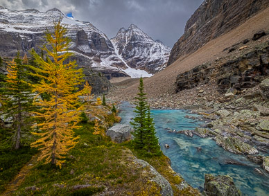 Lefroy Lake outlet stream