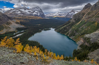 Lake O'Hara from Yukness Ledges Alpine Route