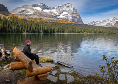 Lake O'Hara viewpoint bench