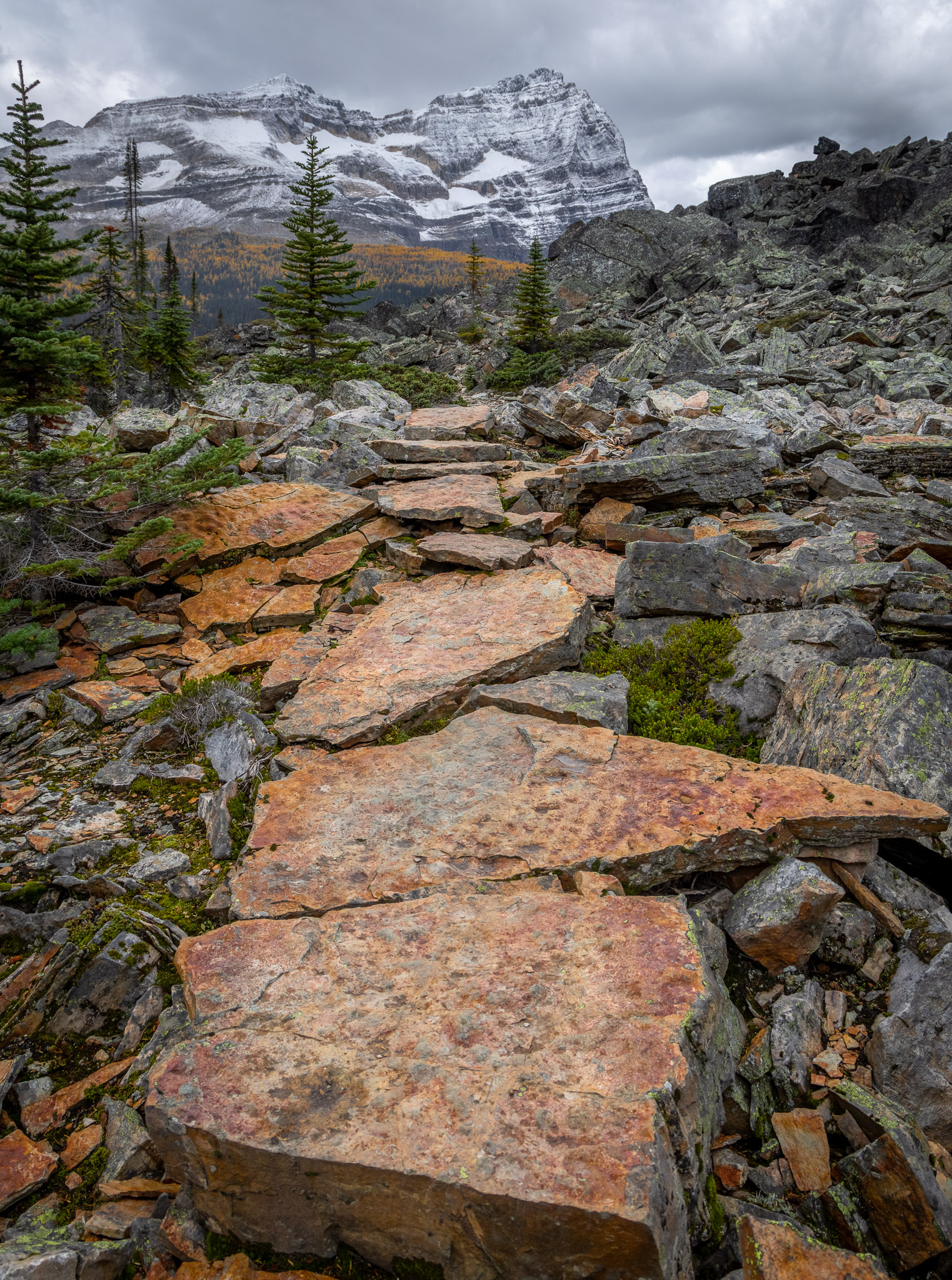 Meticulously constructed trails