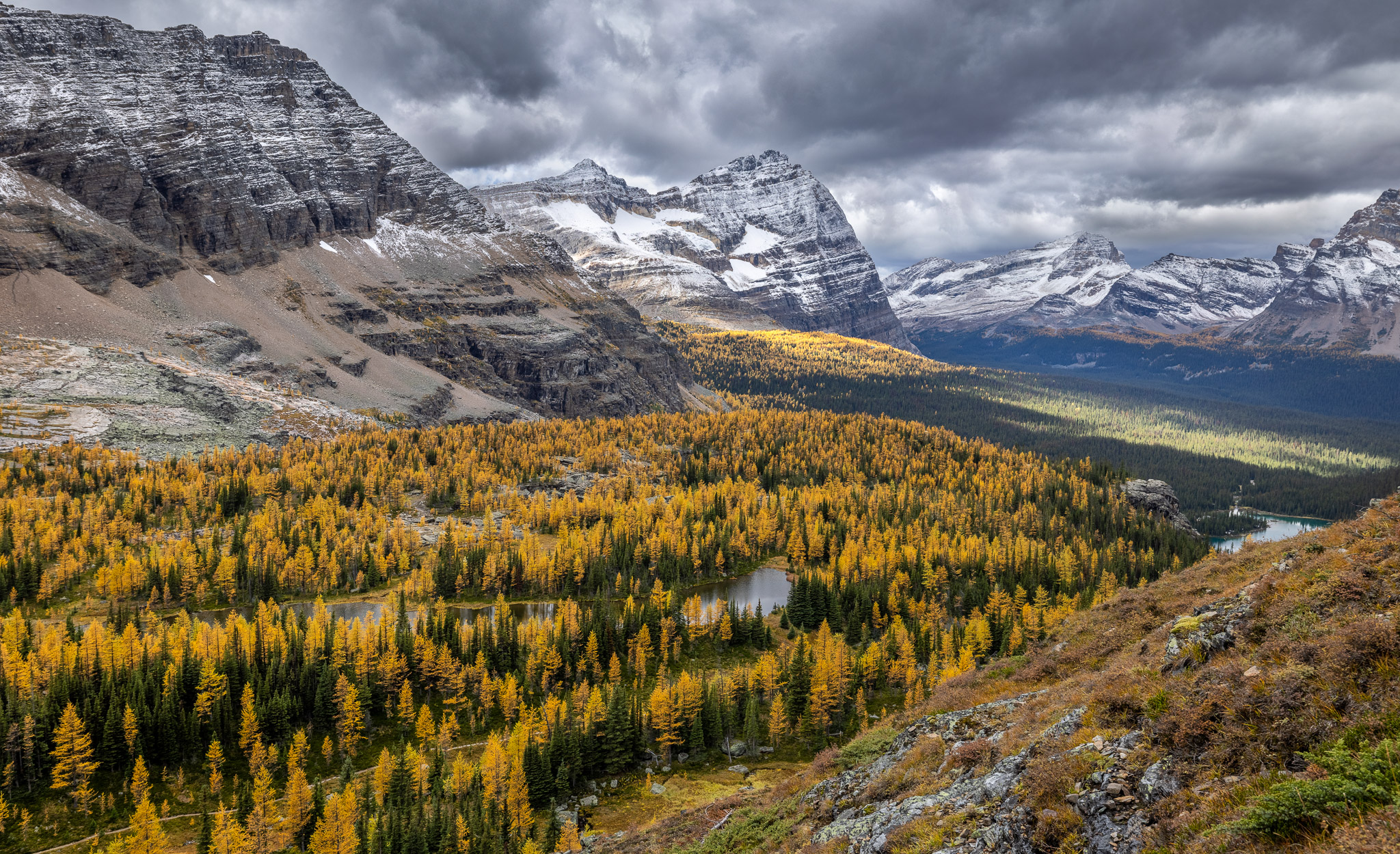 Opabin Plateau from Yukness Ledges Alpine Route