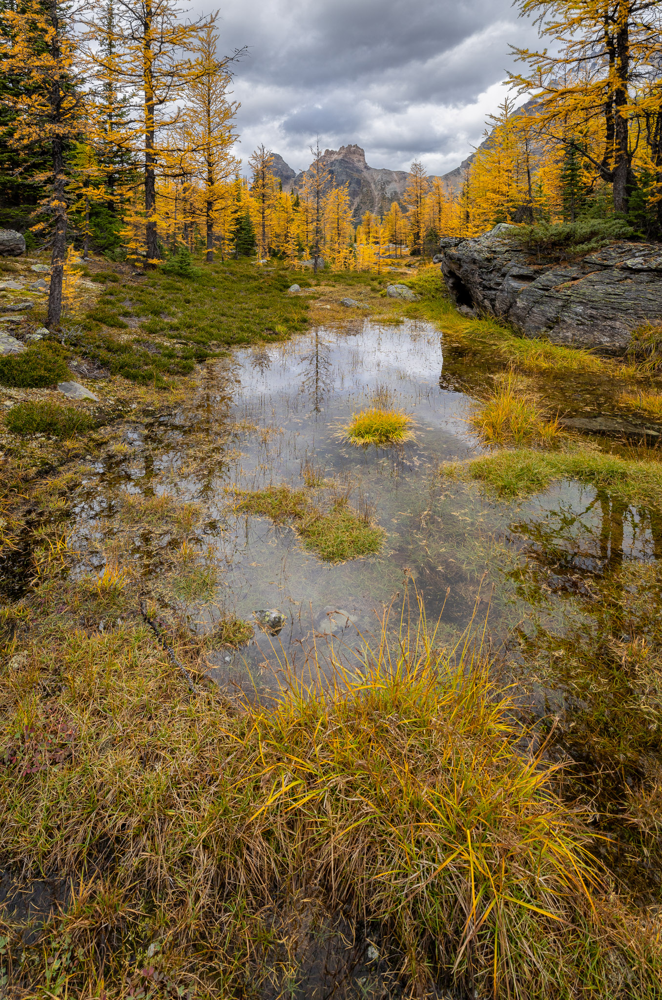 Opabin Plateau wetlands