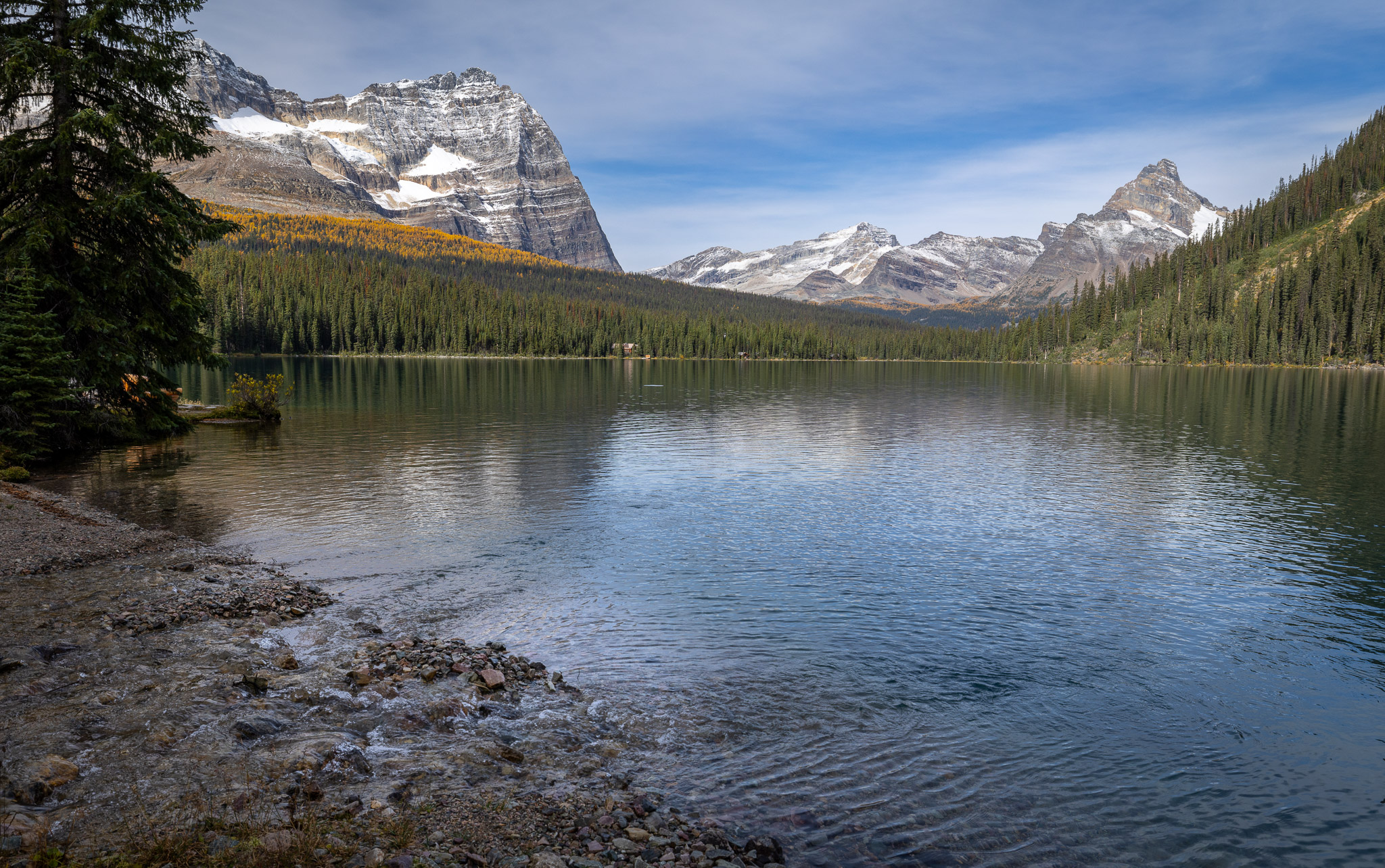 Lake O'Hara, looking west toward Odaray & Cathedral Mountains