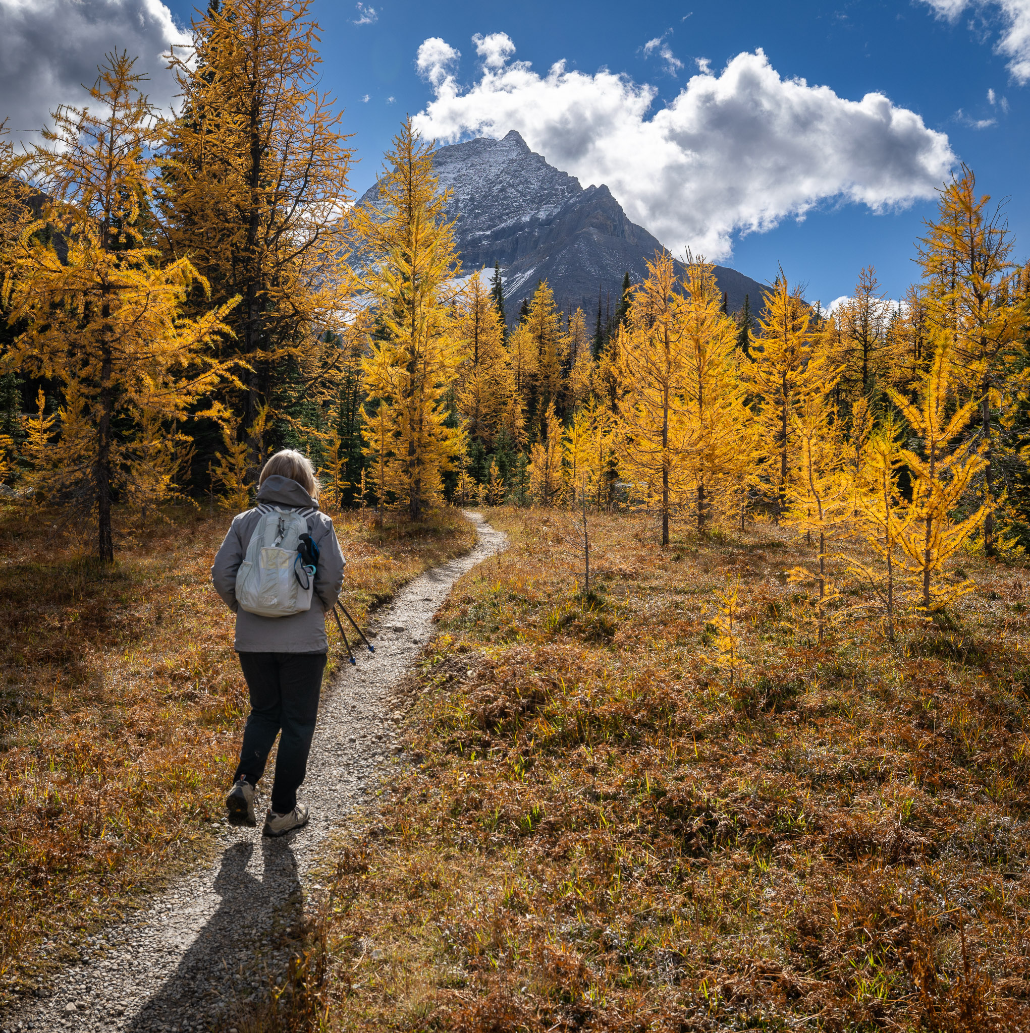 On trail to McArthur Lake