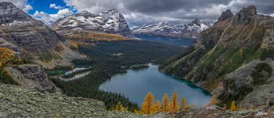 Lake O'Hara from Yukness Ledges Alpine Route