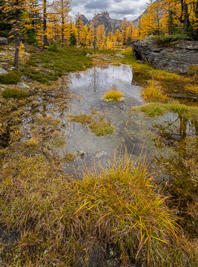 Opabin Plateau wetlands