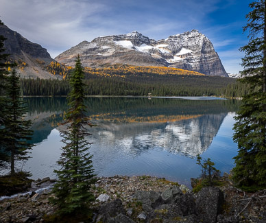 Lake O'Hara & Odaray Mountain