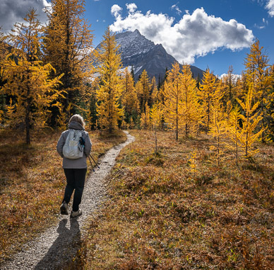 On trail to McArthur Lake