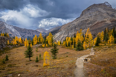 High Level Circuit Trail to McArthur Lake