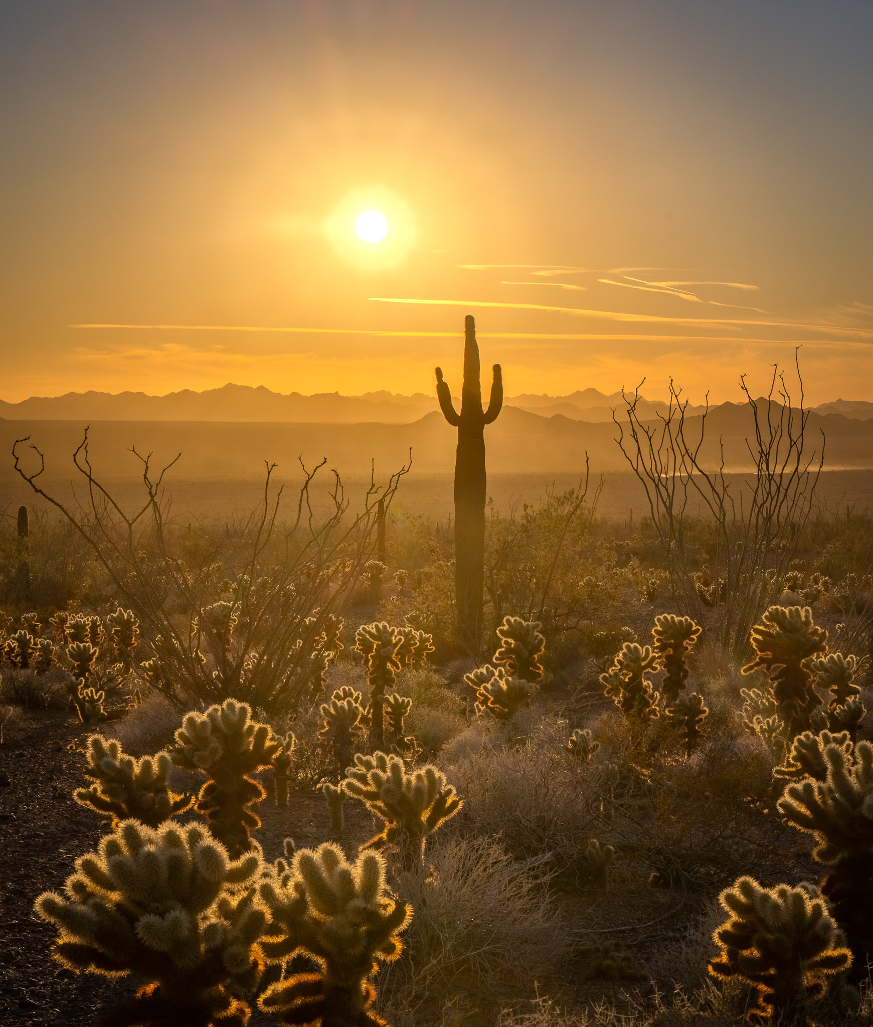 Kofa Mountains sunset