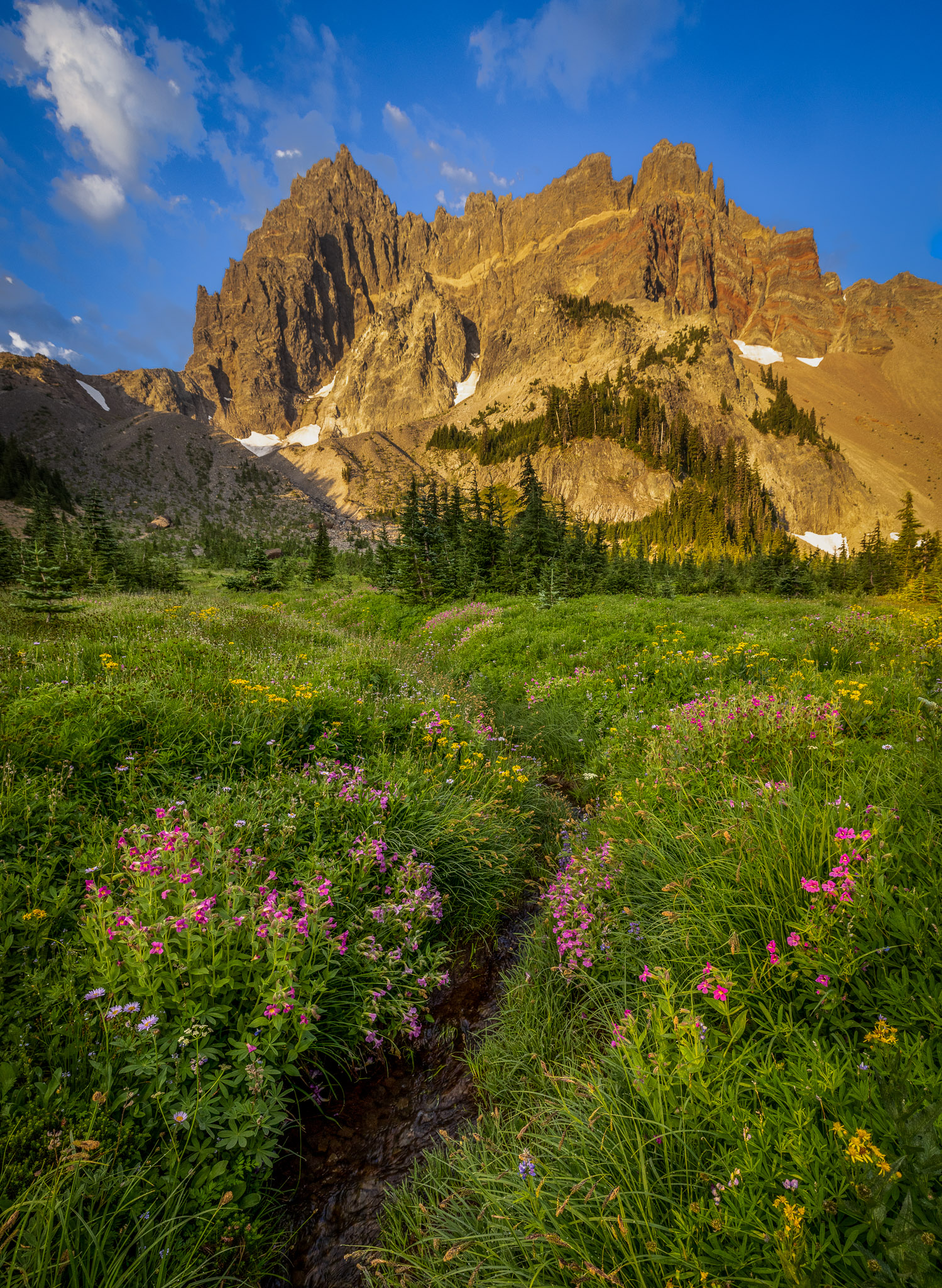 Sunrise, Three Fingered Jack & Upper Canyon Creek Meadows