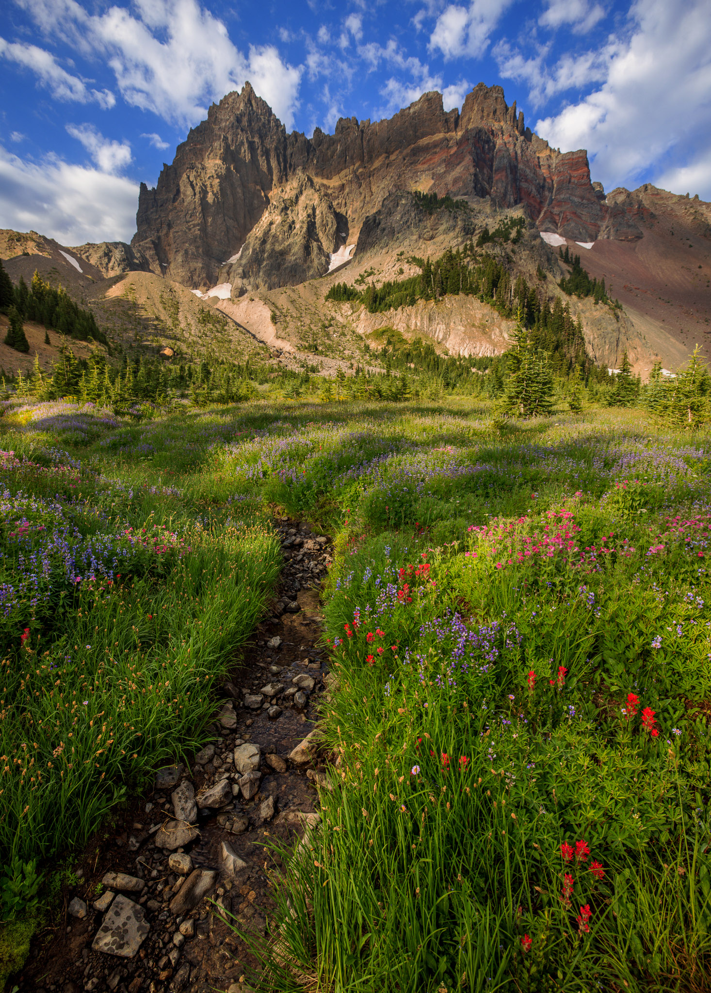 Upper Canyon Creek Meadows & Three Fingered Jack