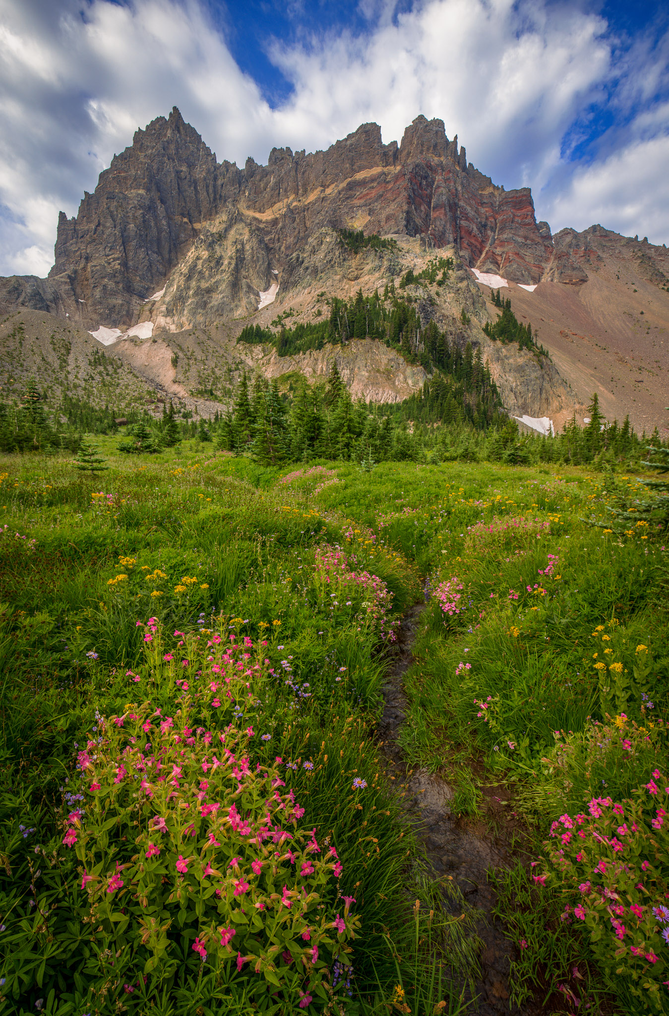 Upper Canyon Creek Meadows & Three Fingered Jack