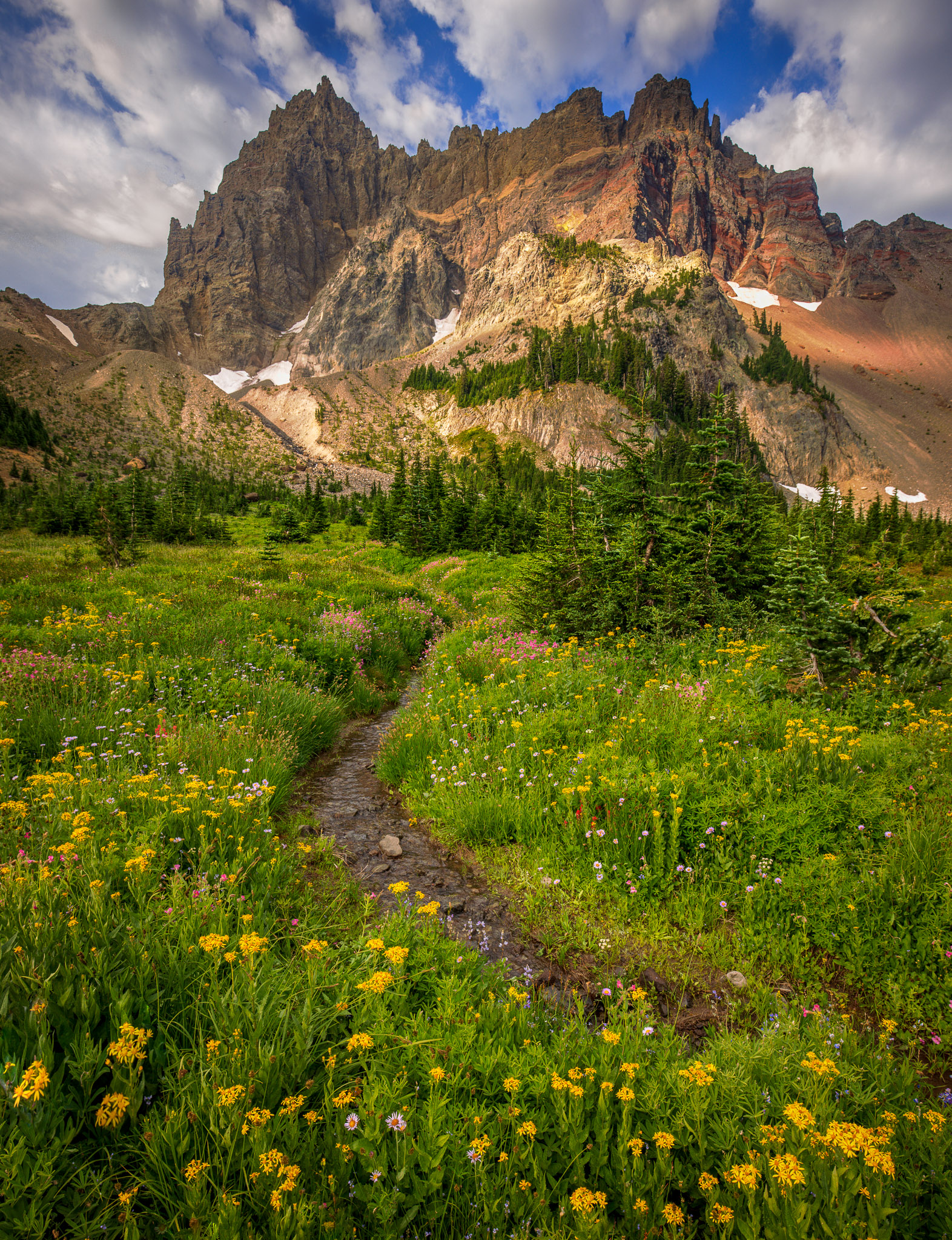 Upper Canyon Creek Meadows & Three Fingered Jack