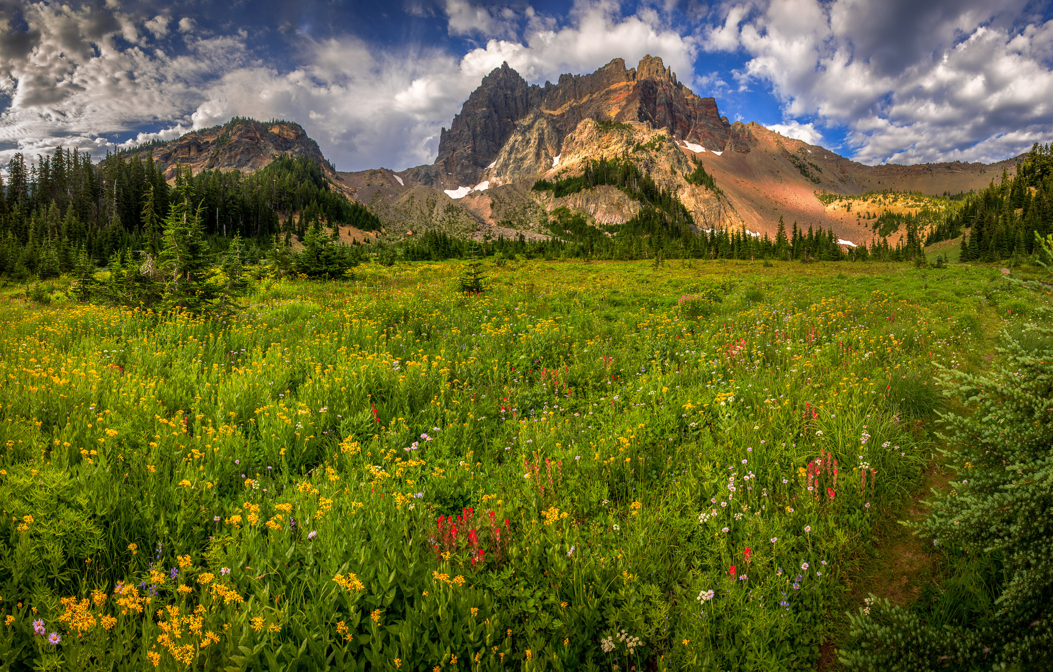 Upper Canyon Creek Meadows & Three Fingered Jack