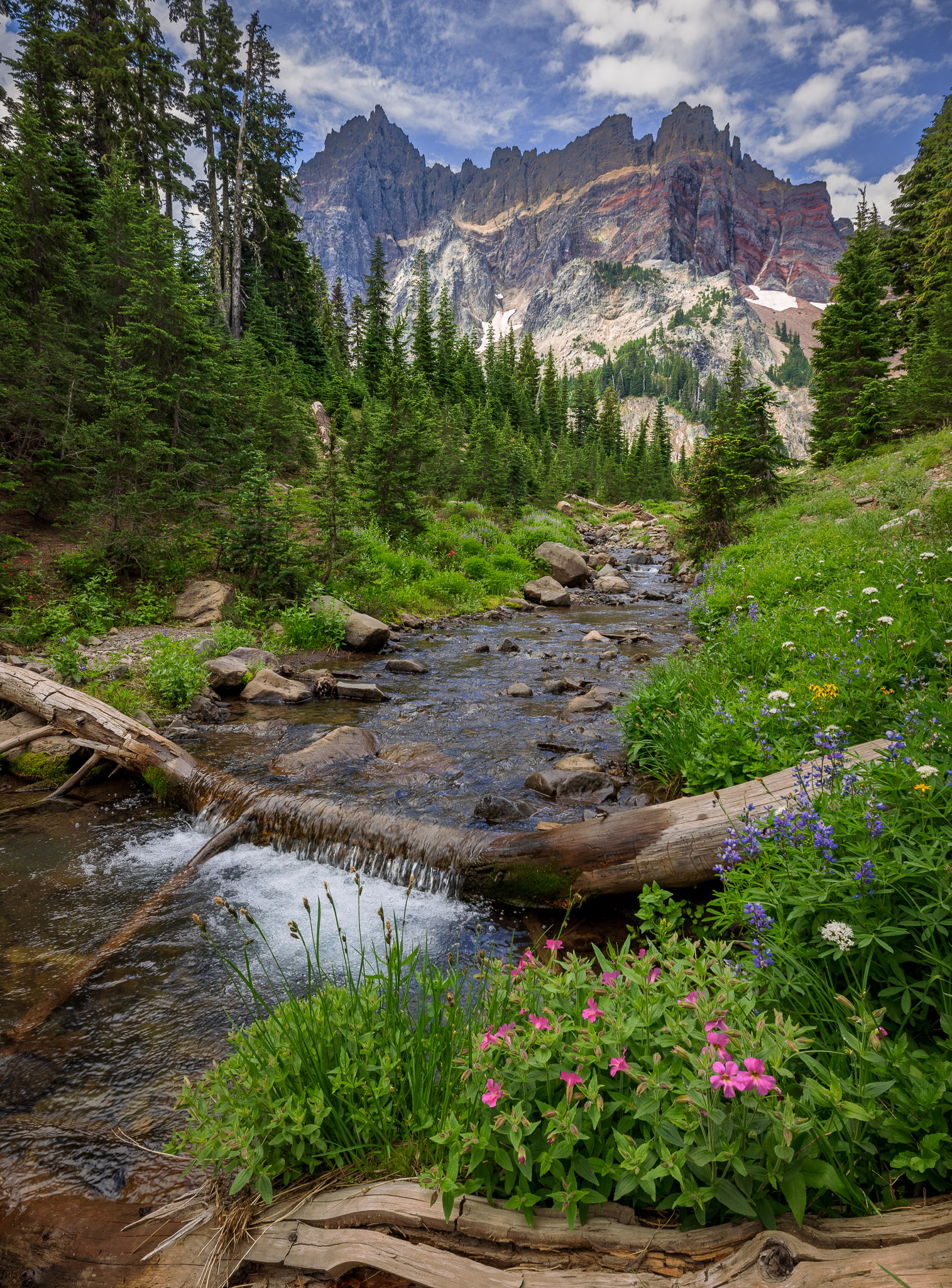 Upper Canyon Creek Meadows' outlet stream & Three Fingered Jack
