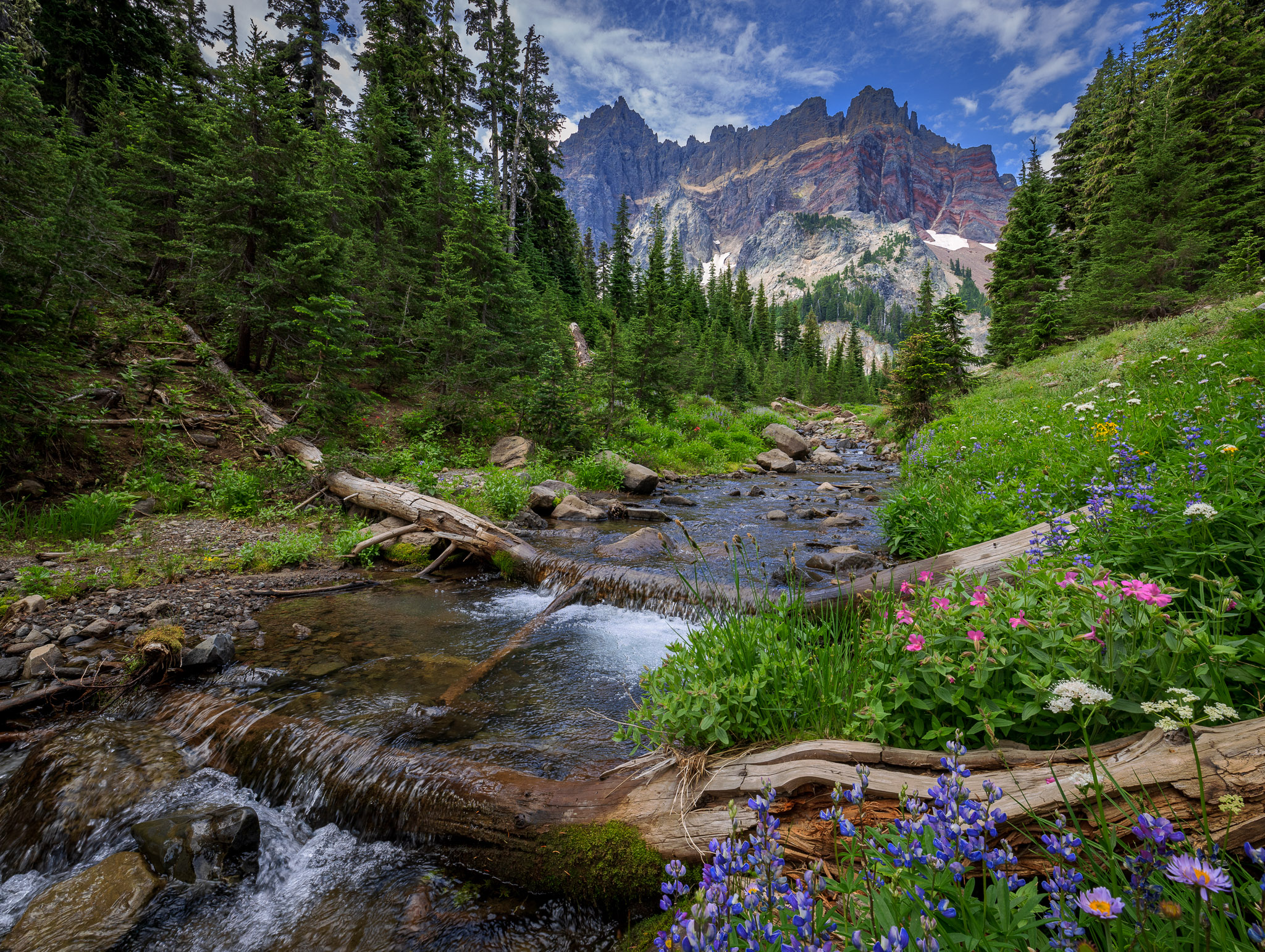 Upper Canyon Creek Meadows' outlet stream & Three Fingered Jack