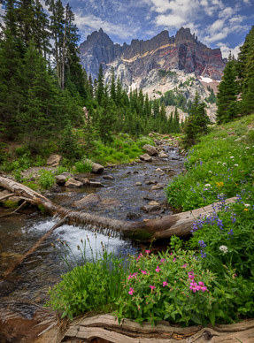 Upper Canyon Creek Meadows' outlet stream & Three Fingered Jack