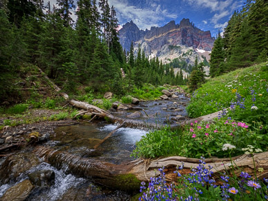 Upper Canyon Creek Meadows' outlet stream & Three Fingered Jack