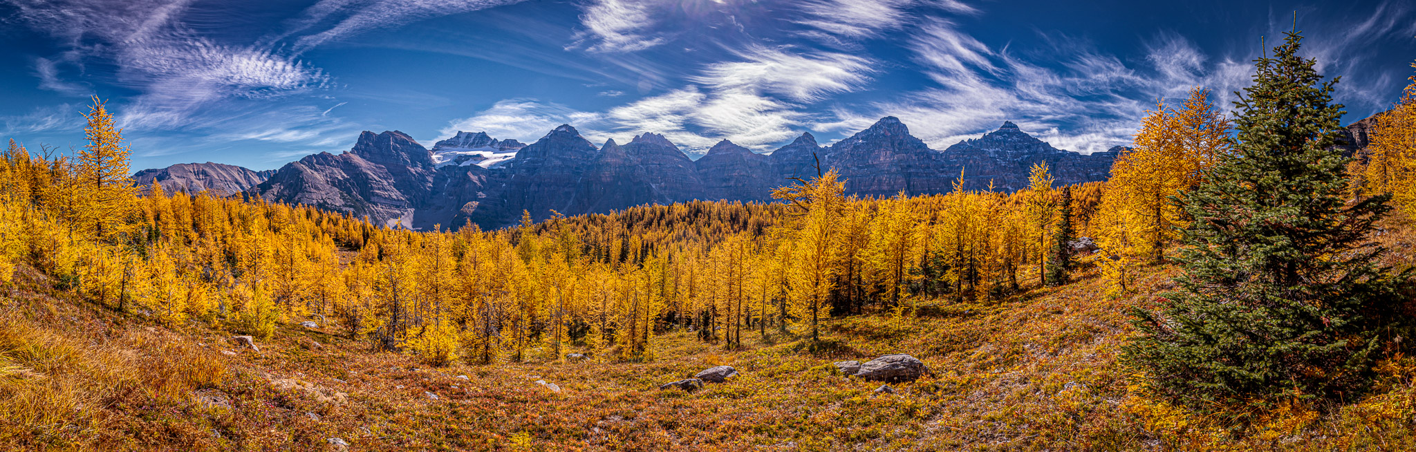 Larch Valley, Banff NP