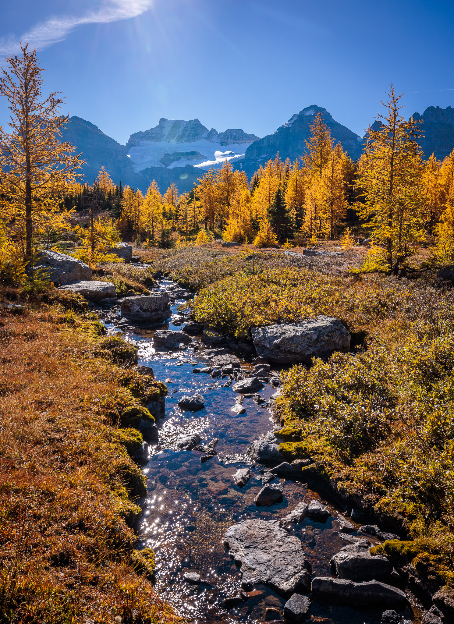 Larch Valley, Banff NP