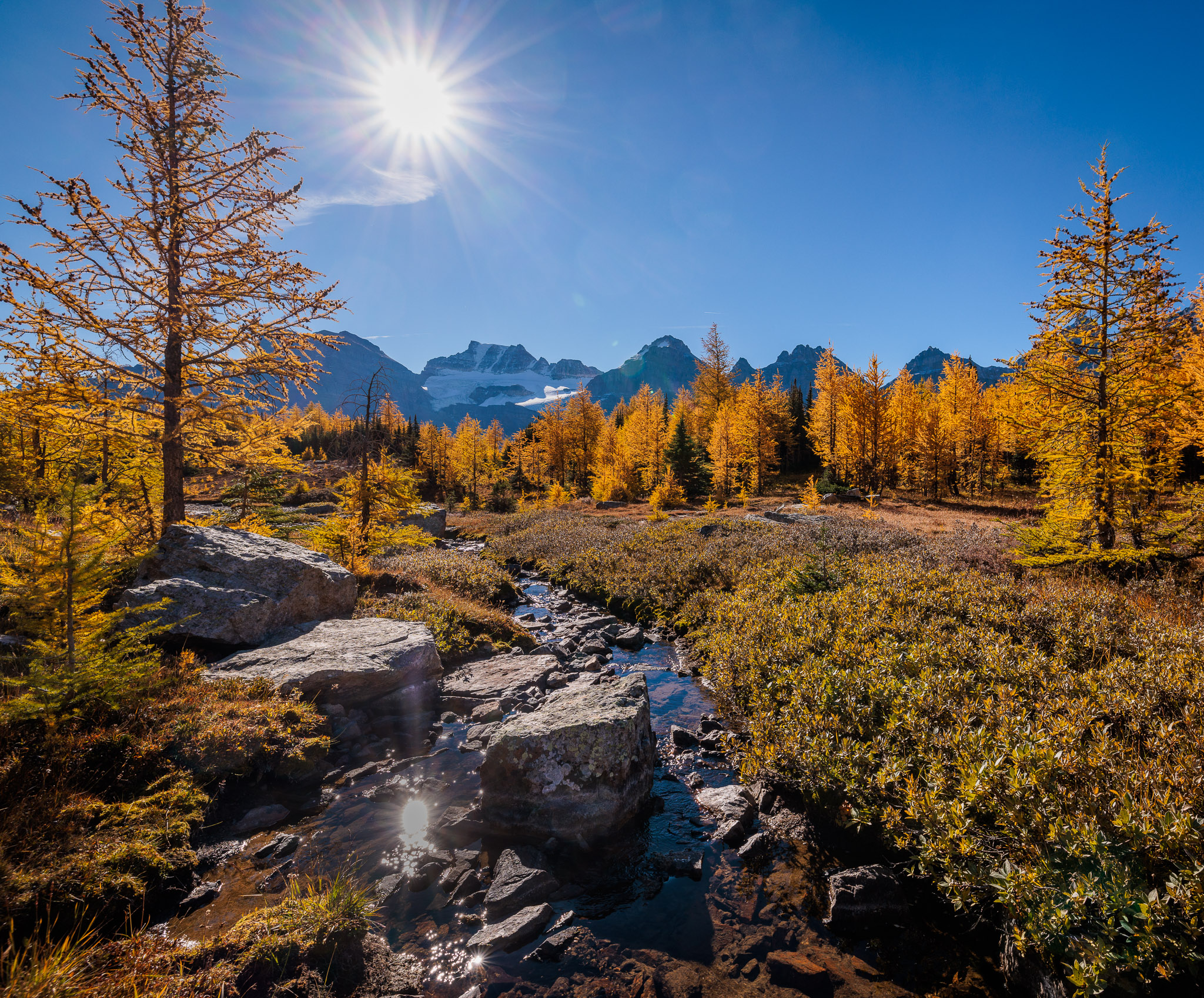 Larch Valley, Banff NP