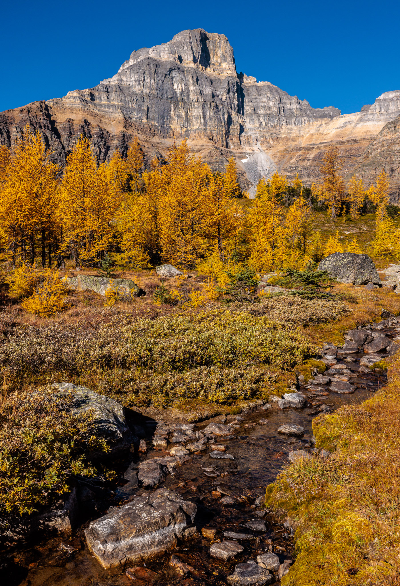 Larch Valley, Banff NP