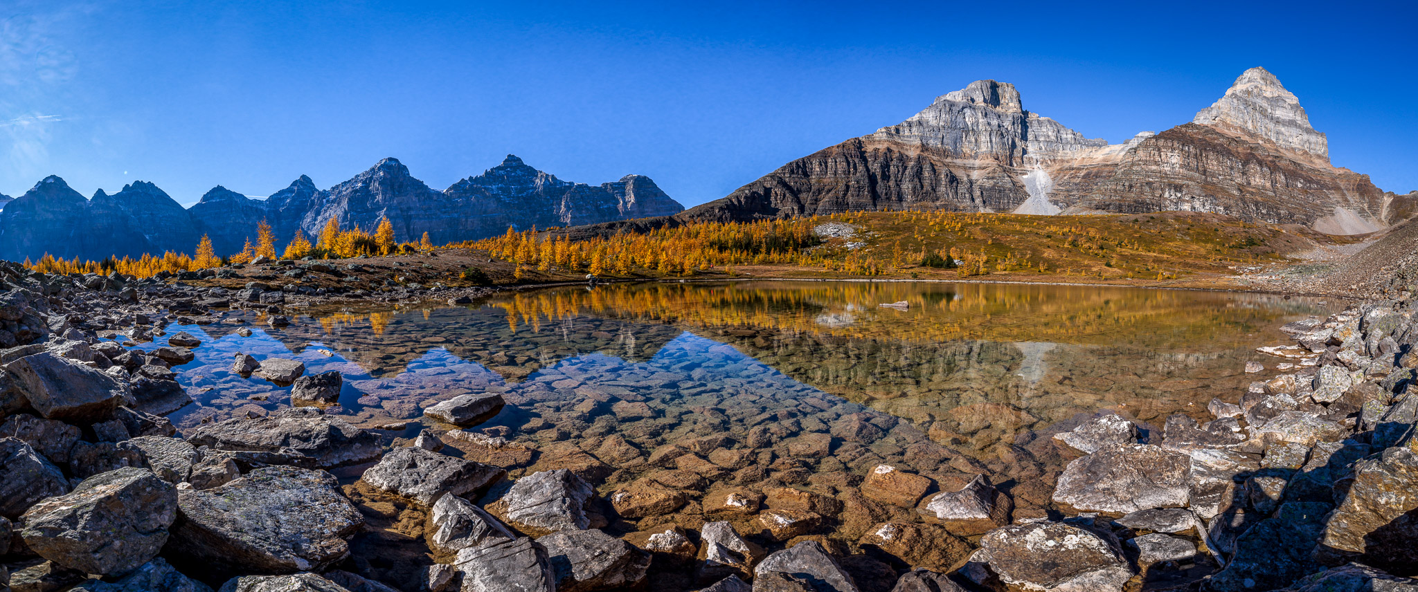 Larch Valley, Banff NP