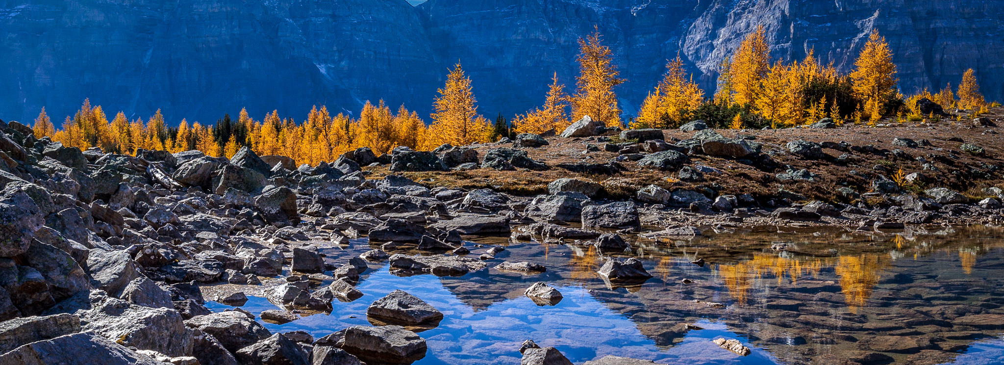 Larch Valley, Banff NP