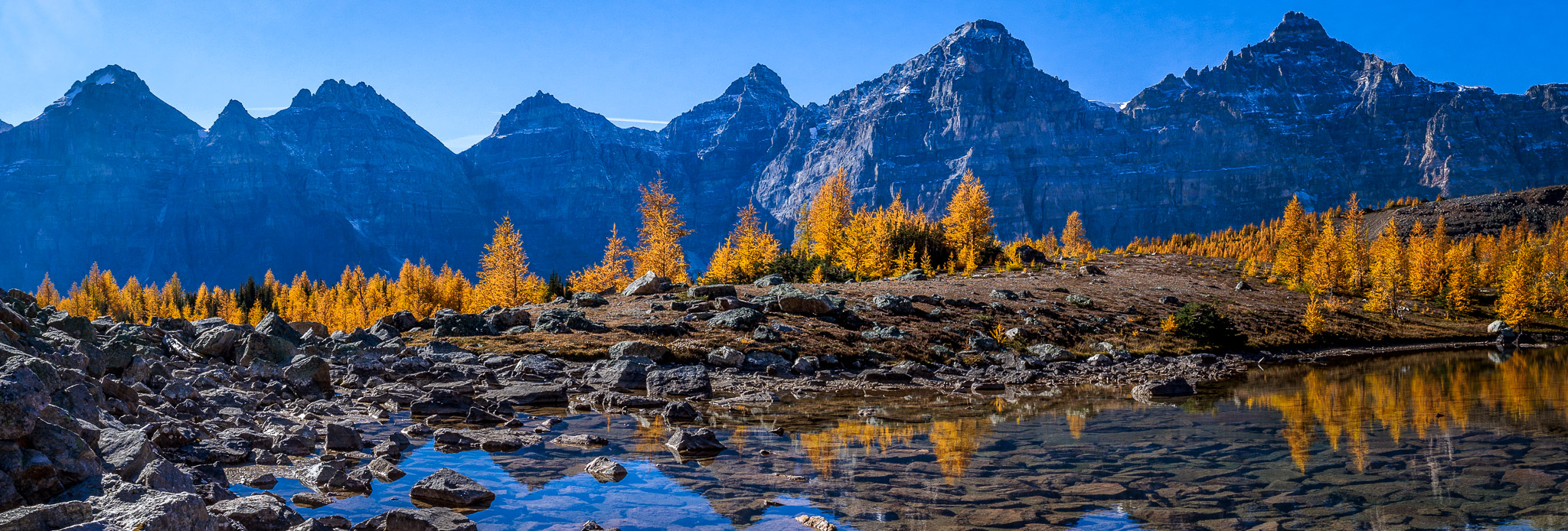 Larch Valley, Banff NP