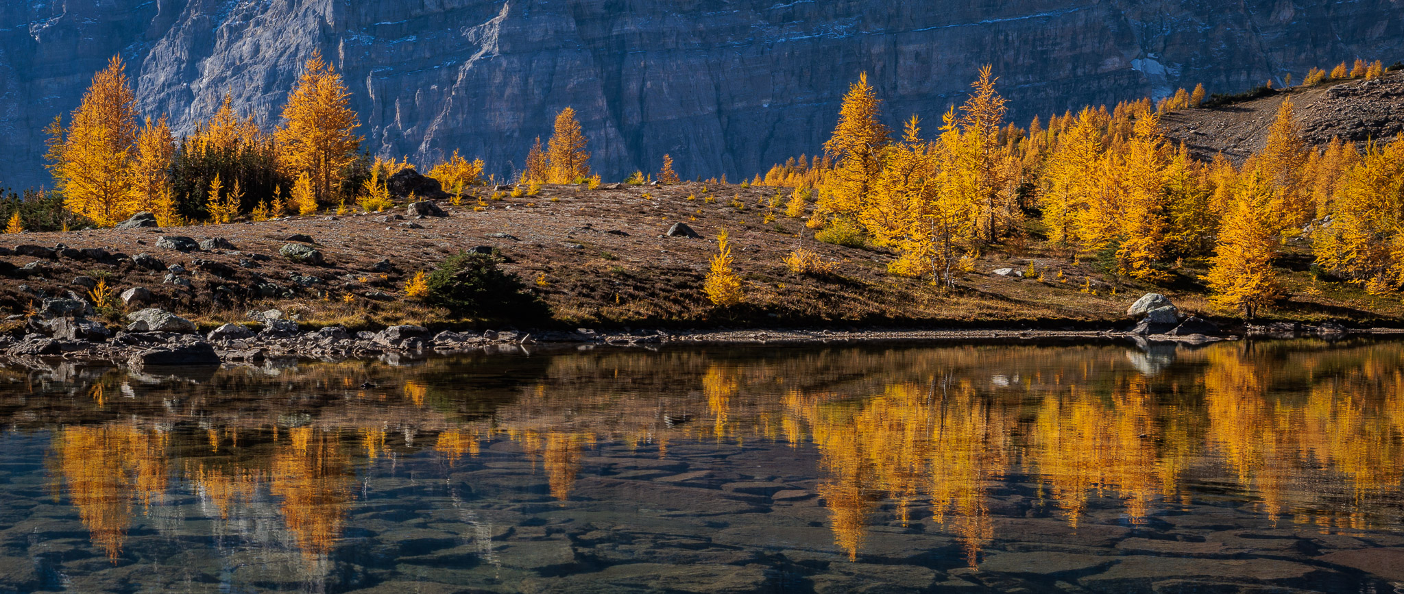 Larch Valley, Banff NP