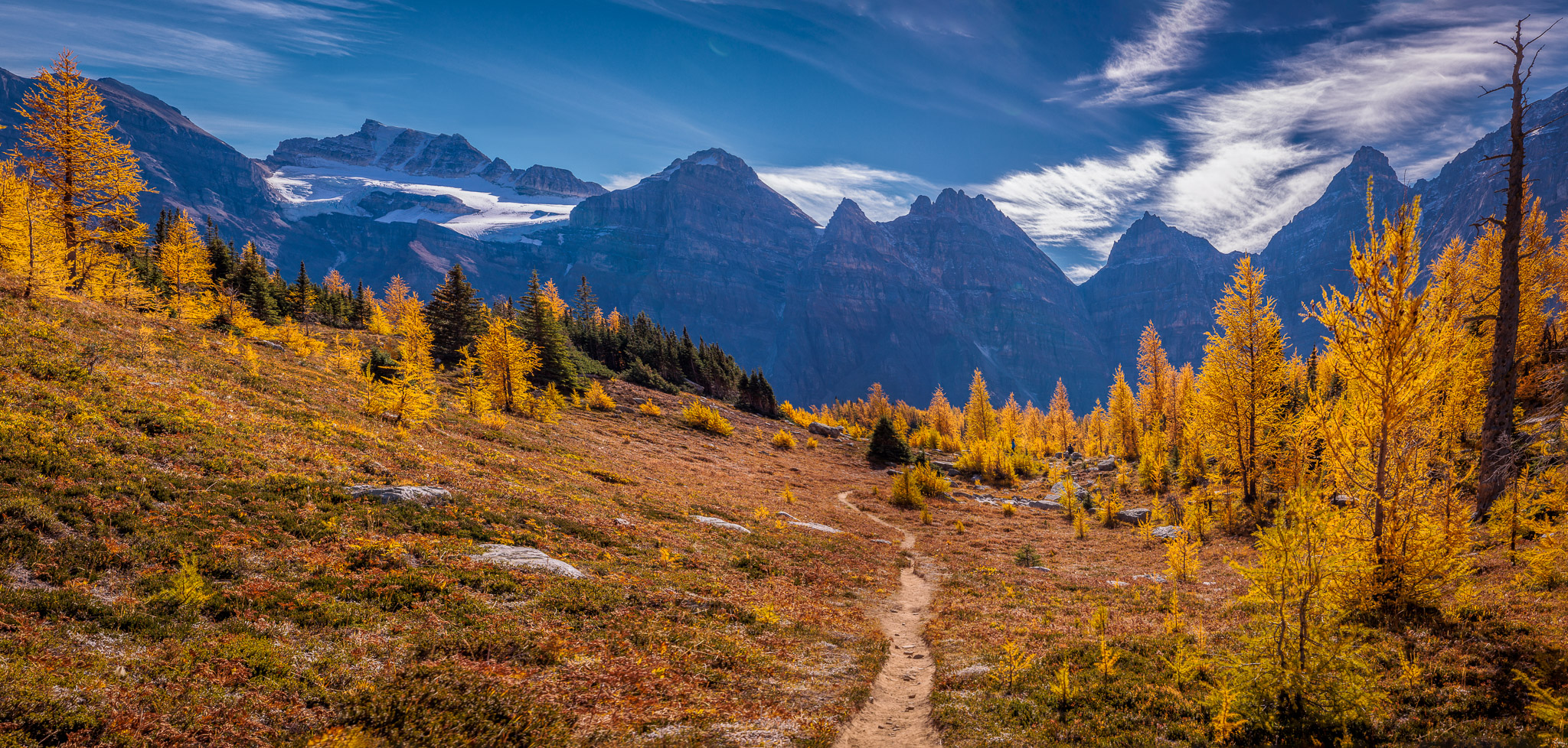 Larch Valley, Banff NP