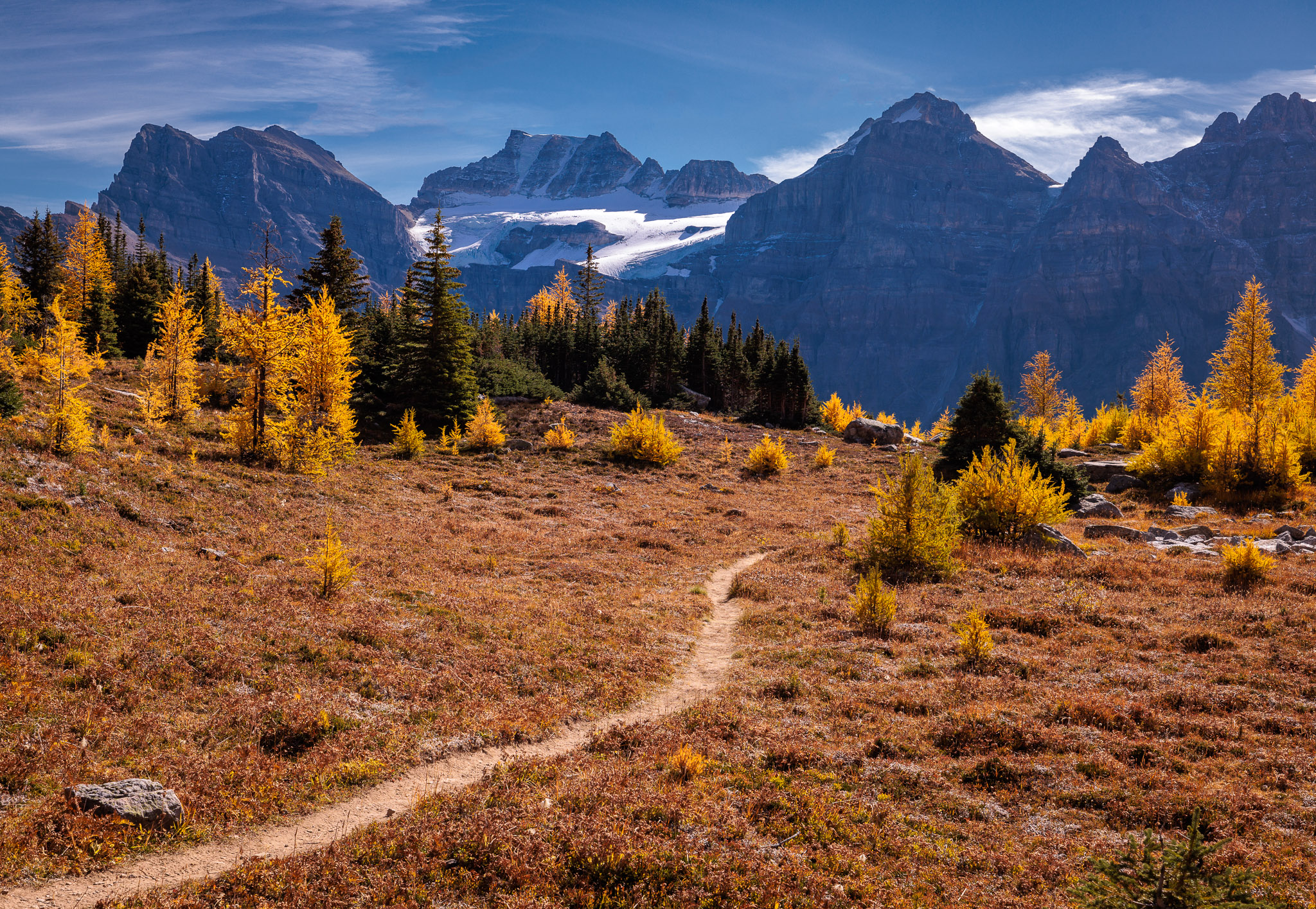 Larch Valley, Banff NP