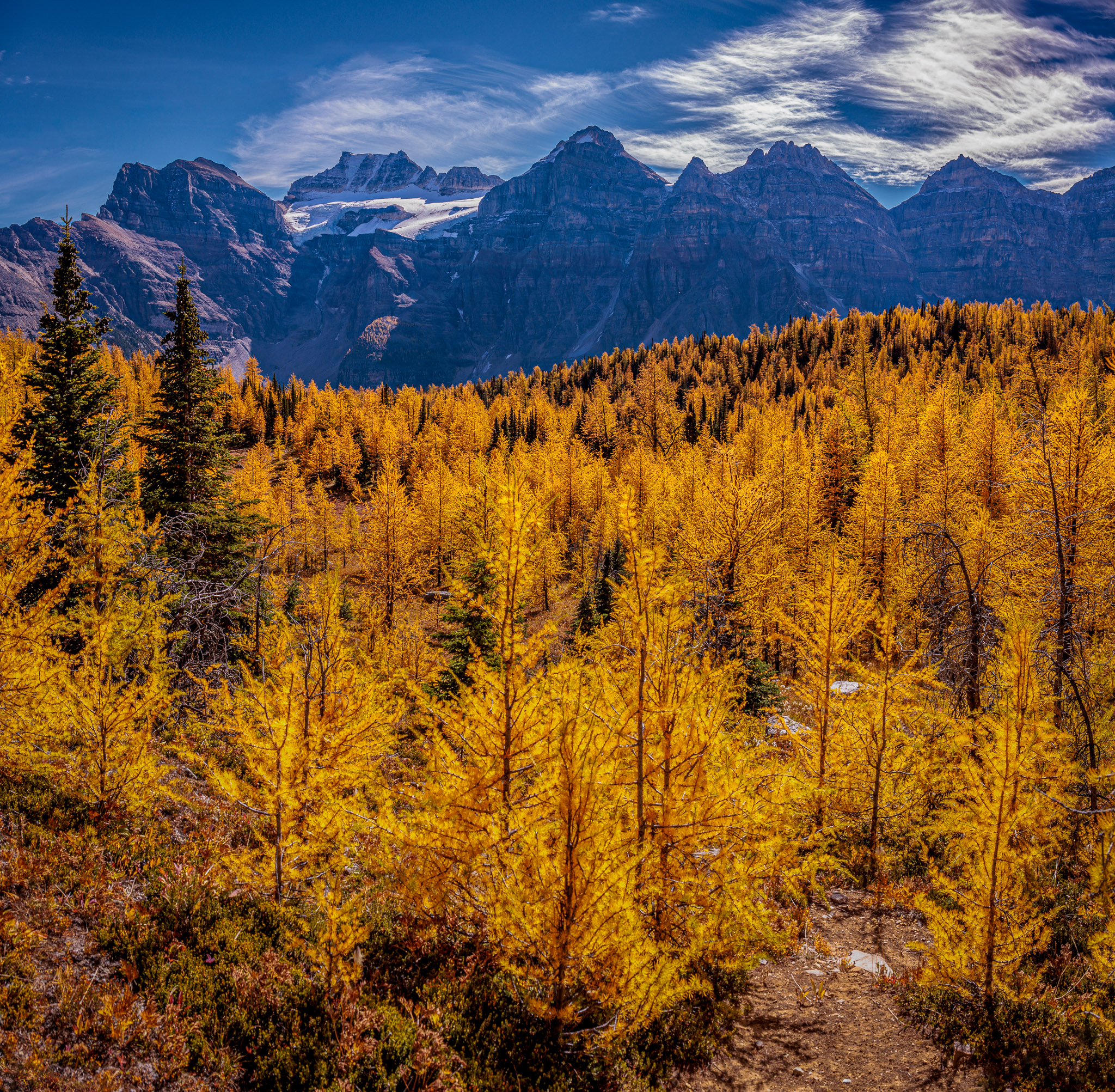 Larch Valley, Banff NP