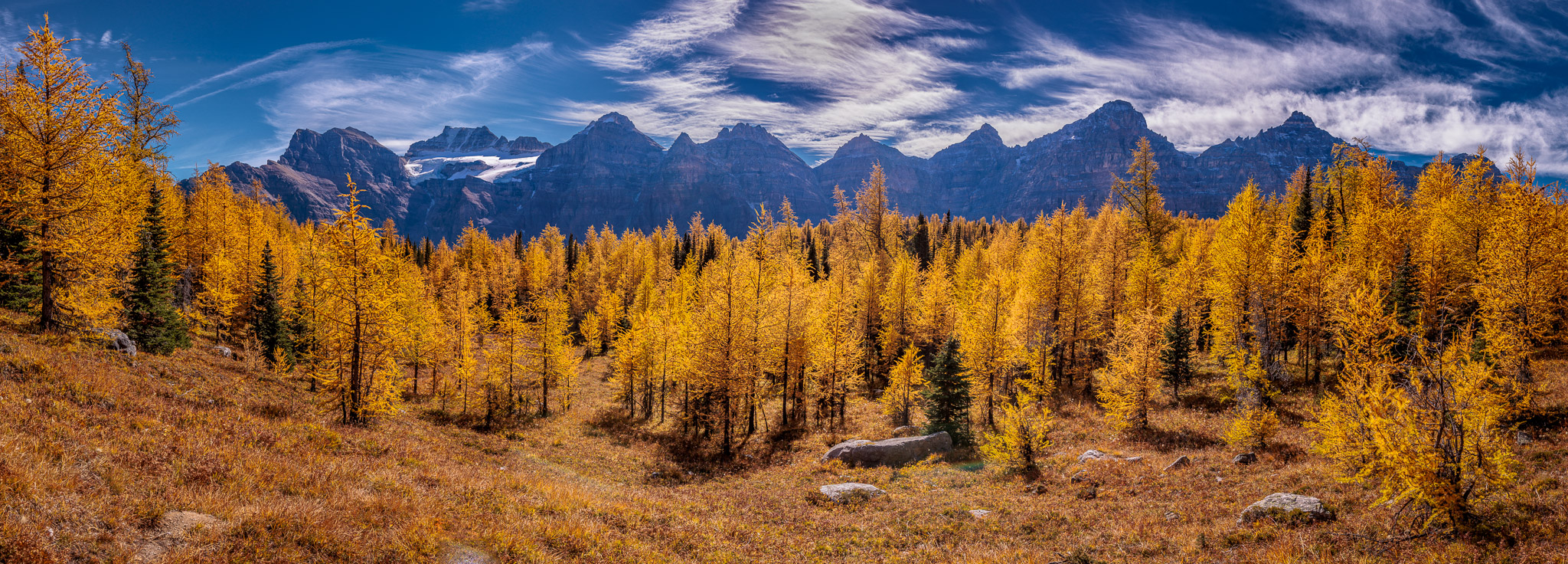 Larch Valley, Banff NP