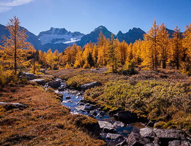Larch Valley, Banff NP