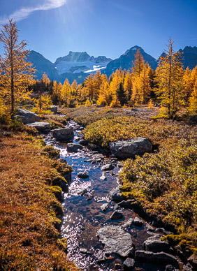 Larch Valley, Banff NP