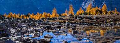 Larch Valley, Banff NP