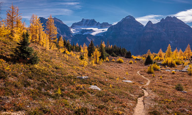 Larch Valley, Banff NP