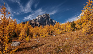 Larch Valley, Banff NP