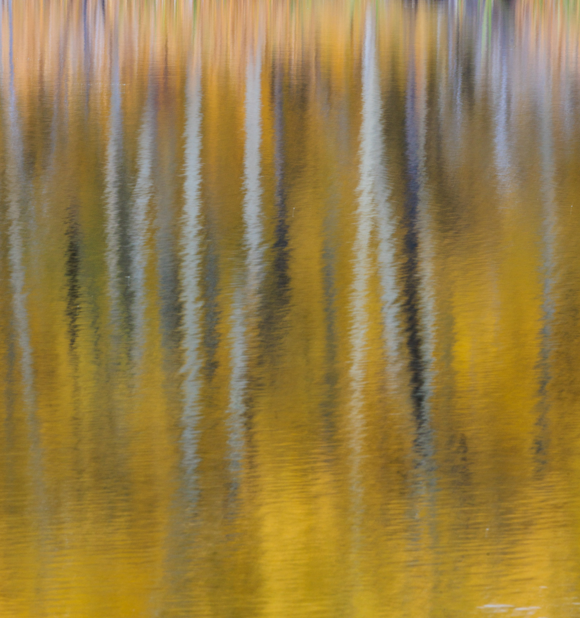 Duck Pond color, Babb MT