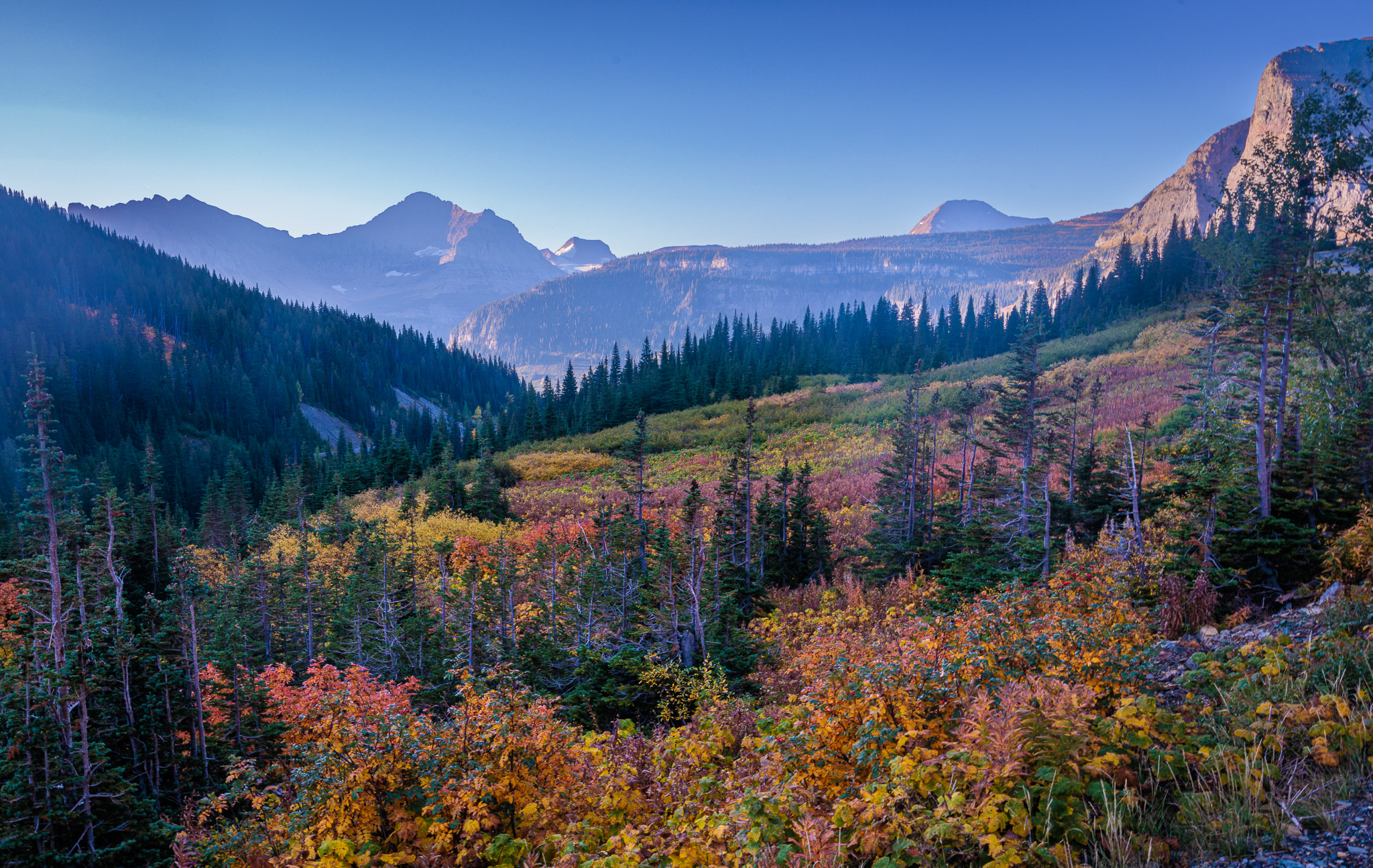 Fall color, Glacier NP